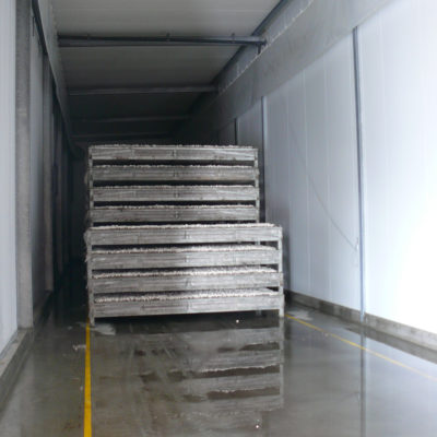 Racks métalliques pour installation de la champignonnière