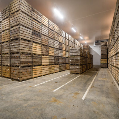 chambre froides atmosphère contrôlée pour le stockage des pommes