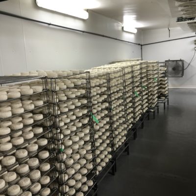 Isolation frigorifique fromageries 49
