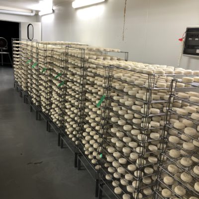 Isolation frigorifique fromageries 49-2